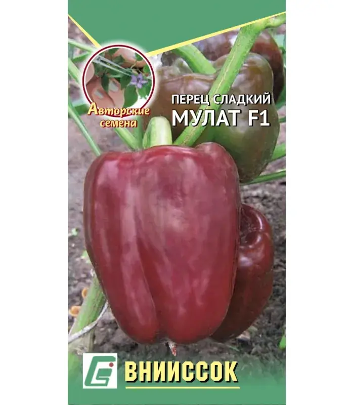 Чинжүү Перец сладкий мулат F1