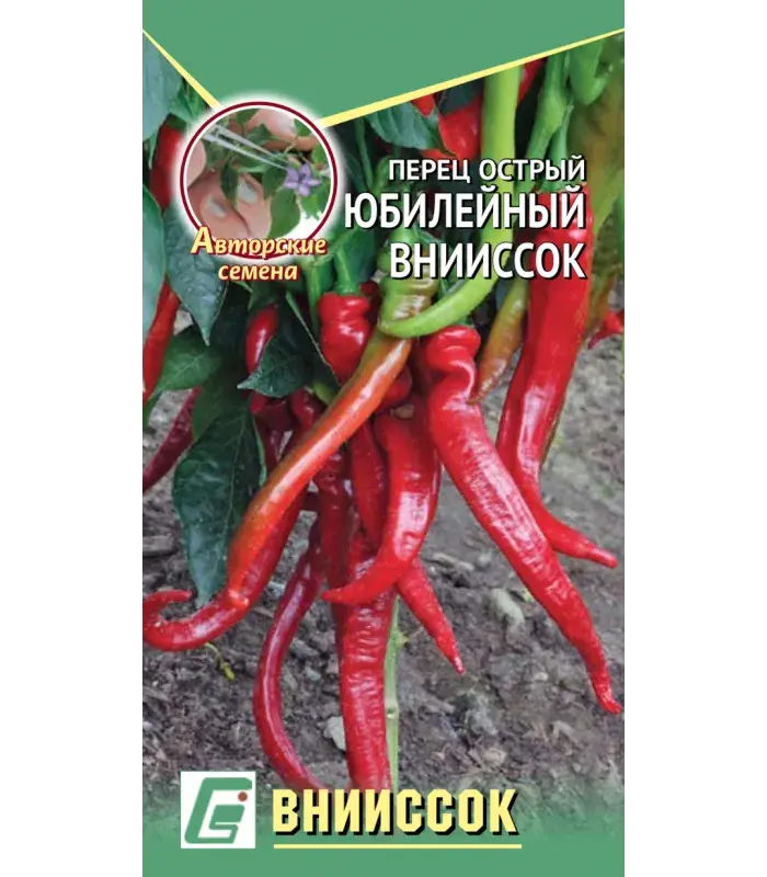 Халуун чинжүү - Перец Острый Юбилейный Внииссок