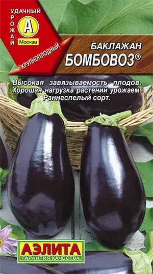 Хаш Баклажан Бомбовоз