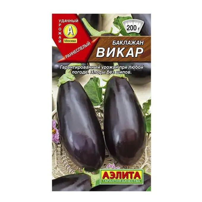 Хаш - Баклажин викар