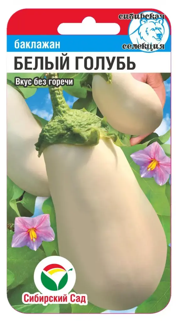 Хаш Баклажан Белый голубь