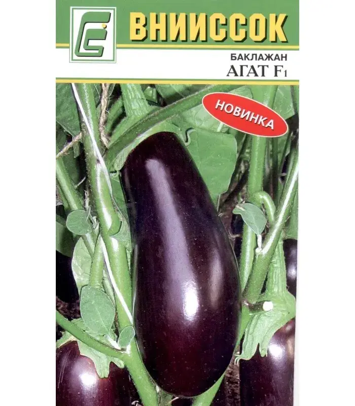 Хаш - Баклажан Агат F1