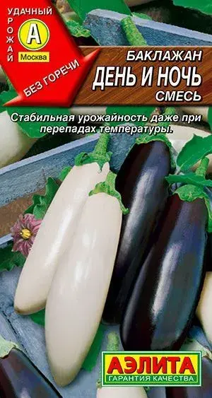 Хаш Баклажан День и ночь