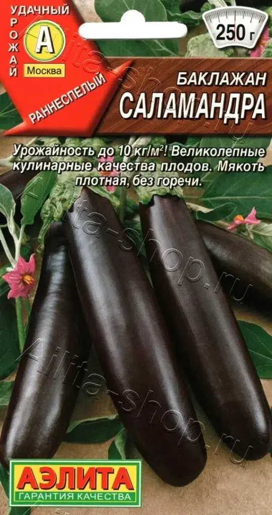 Хаш - Баклажан Саламандра