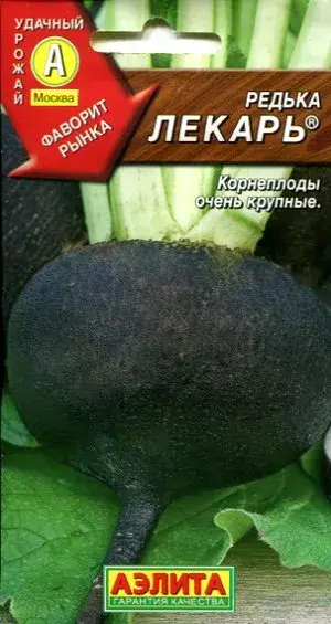 Редька Лекарь 