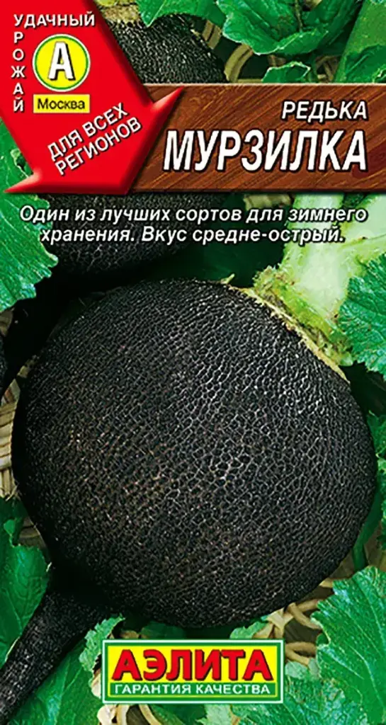 Редька Мурзилка