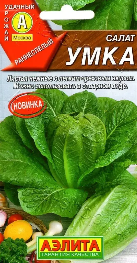 Салатны навч - Салат Умка