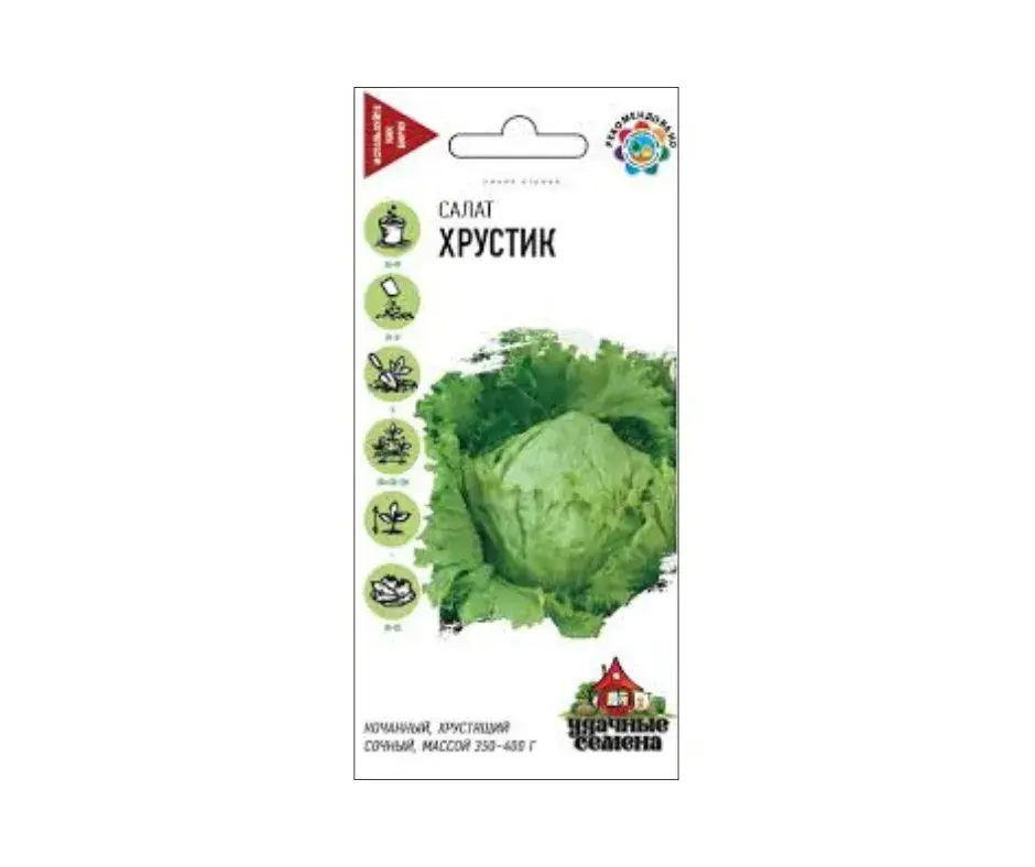 Салат Хрустик