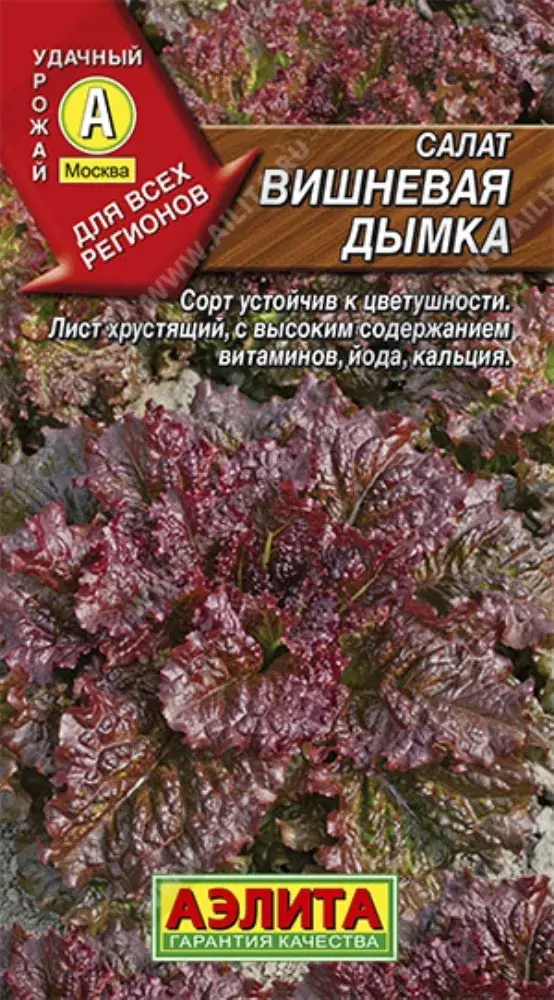 Салат Вишневая дымка листовой