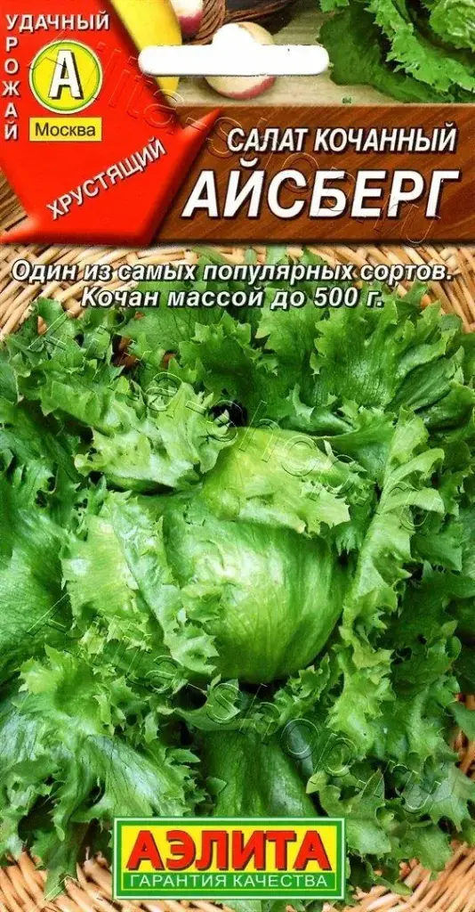 Салат кочанный Айсберг 