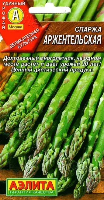 Спаржа Аржентельская