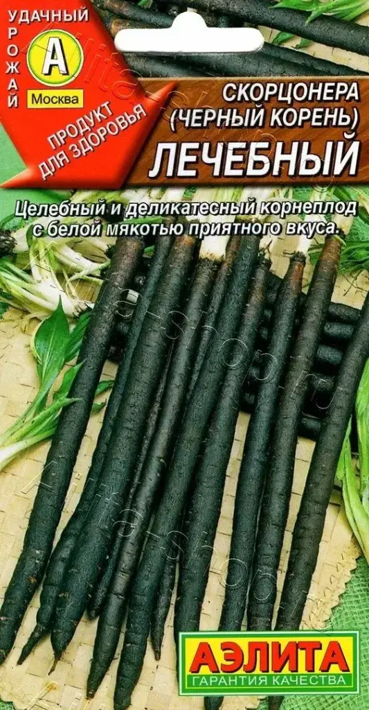 Скорцонер Лечебный (2025; 28.01.03 /7)