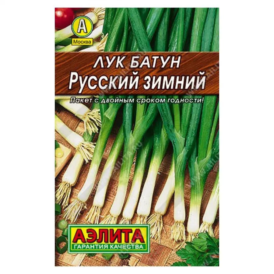 Сонгино - Лук батун Русский зимний