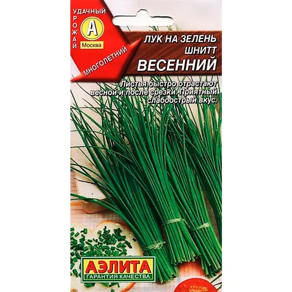 Сонгино - Лук шнитт Весенний