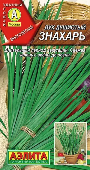 Сонгино - Лук душистый Знахарь