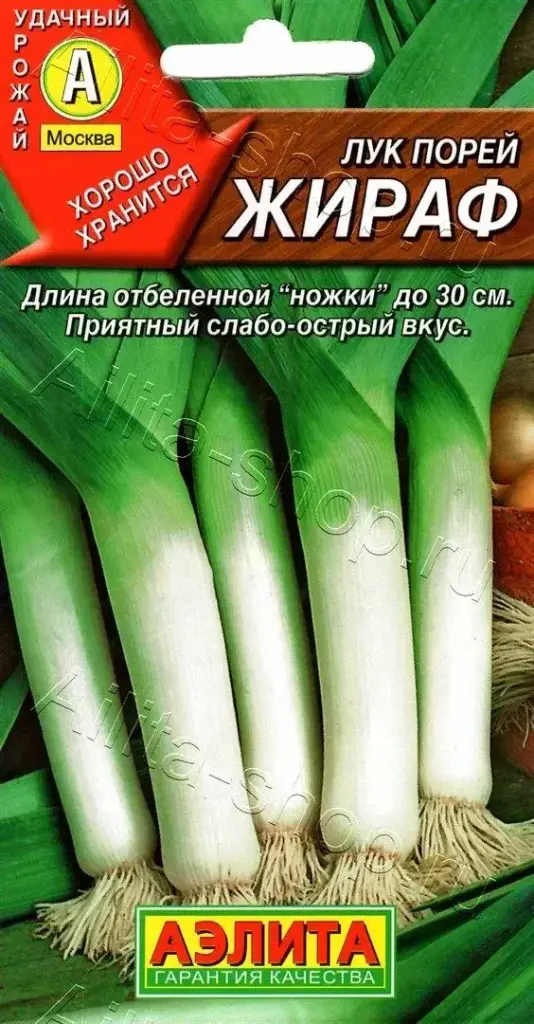 Сонгино - Лук порей Жираф