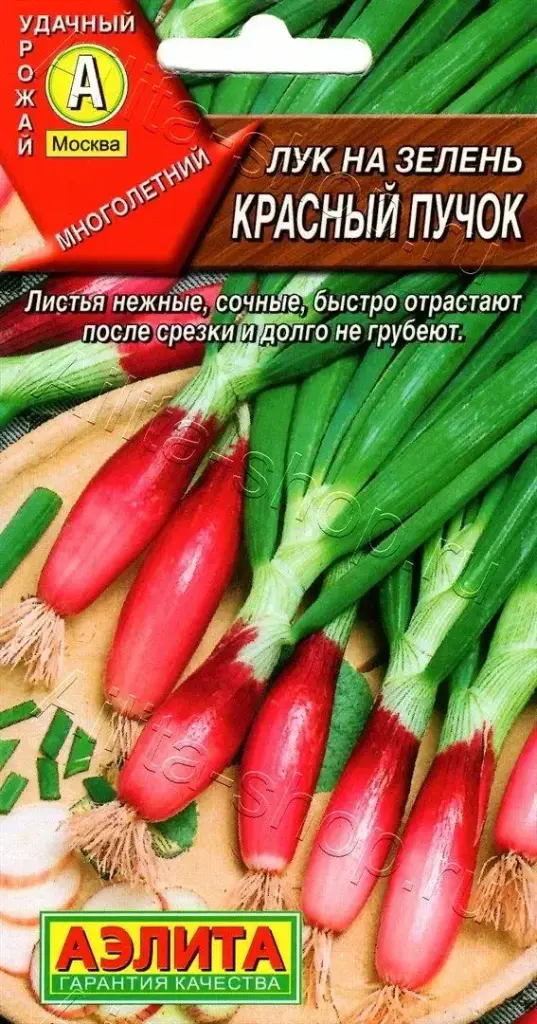 Сонгино - Лук на зелень Красный пучок