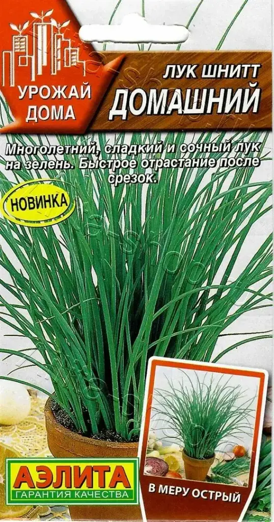 Сонгино - Лук шнитт Домашний