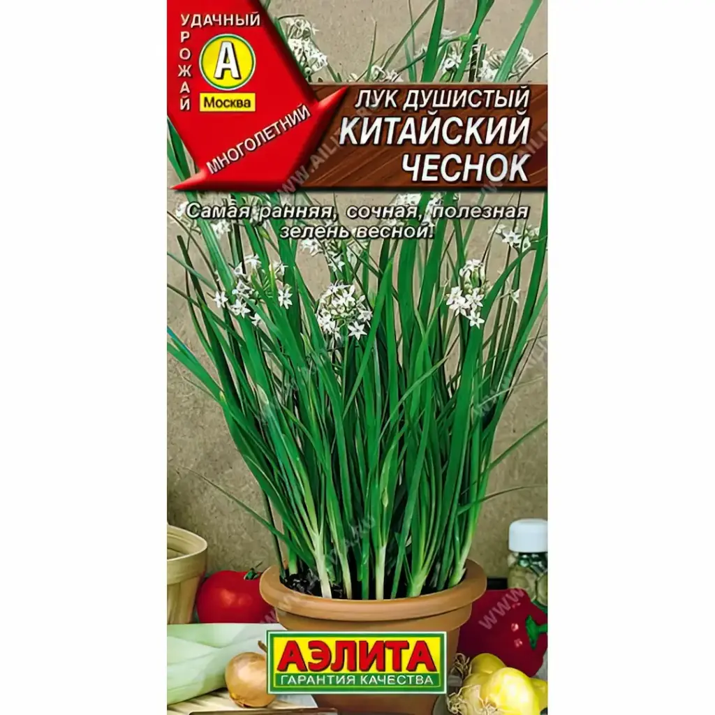Сонгино - Лук душистый Китайский чеснок