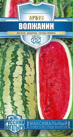 Тарвас Арбуз Волжанин