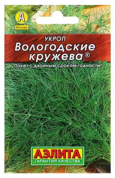 Укроп Вологодские кружева