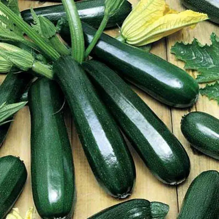 Хулуу Кабачок чёрный красавец