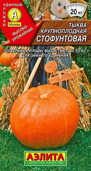 Хулуу Тыква крупноплодная Стофунтовая
