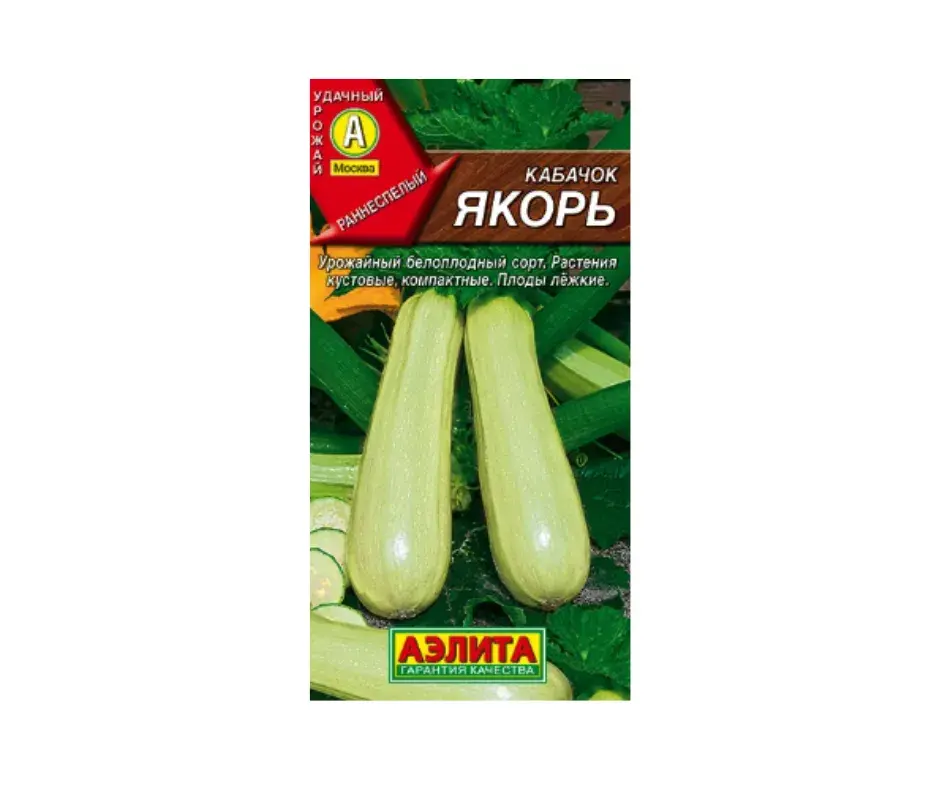 Хулуу Кабачок белоплодный Якорь