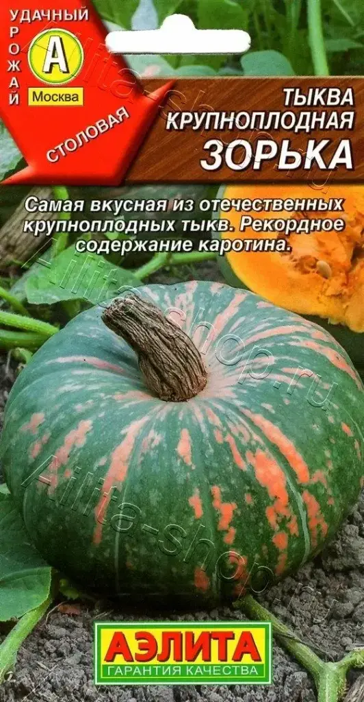 Хулуу Тыква Крупноплодная Зорька