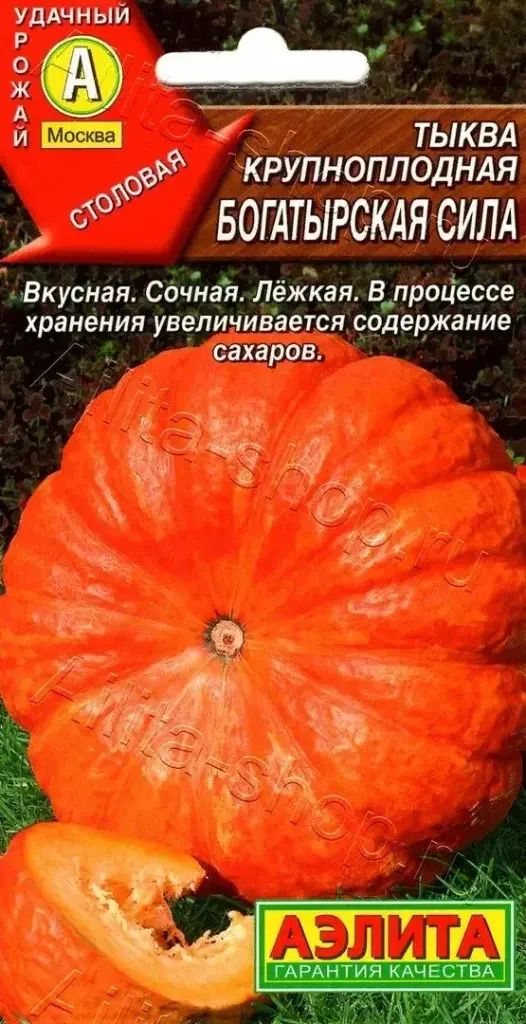 Хулуу Тыква крупноплодная Богатырская сила