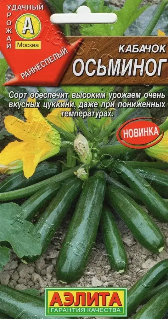 Хулуу Кабачок цуккини Осьминог