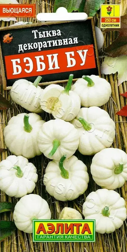 Хулуу Тыква декоративная Бэби бу