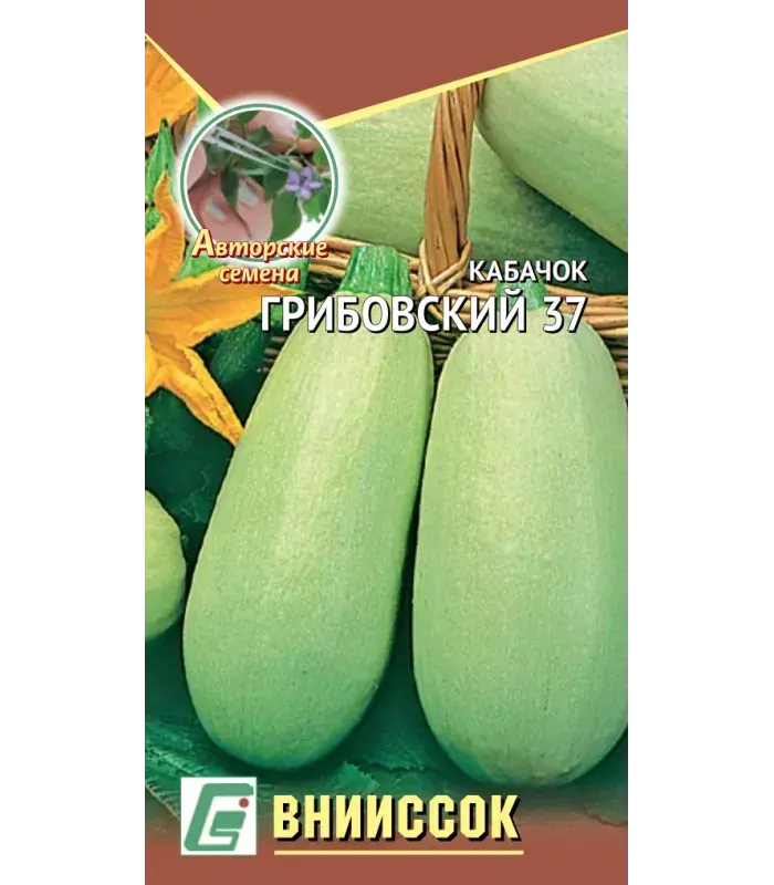 Хулуу Кабачок Грибовский 37