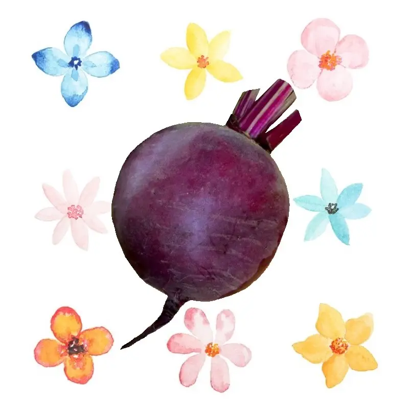  Хүрэн манжин Свекла столовая Винегрет 