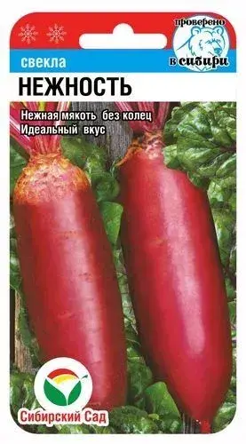 Хүрэн манжин Свекла Нежность