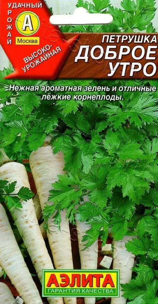 Яншуй Петрушка корневая Доброе утро