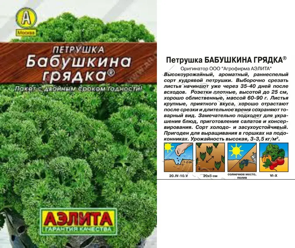 Яншуй Петрушка Бабушкина грядка