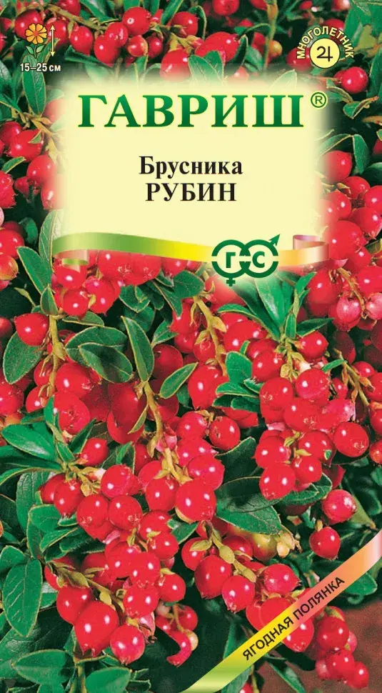Аньс Брусника Рубин  6228
