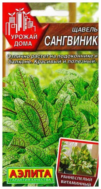 Щавель Сангвиник