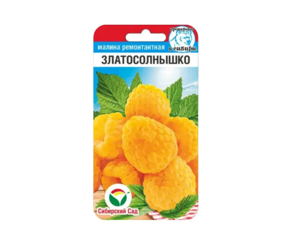 Бөөрөлзгөнө - Малина Златосолнышко