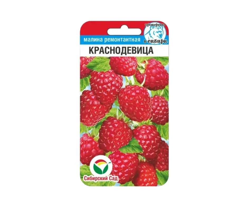 Бөөрөлзгөнө - Малина Краснодевица