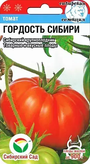 Лооль Томат Гордость Сибири