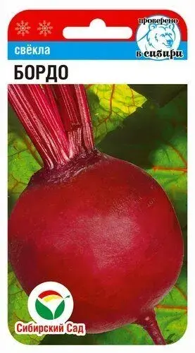 Хүрэн манжин Свекла Бордо