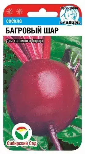Хүрэн манжин Свекла Багровый шар
