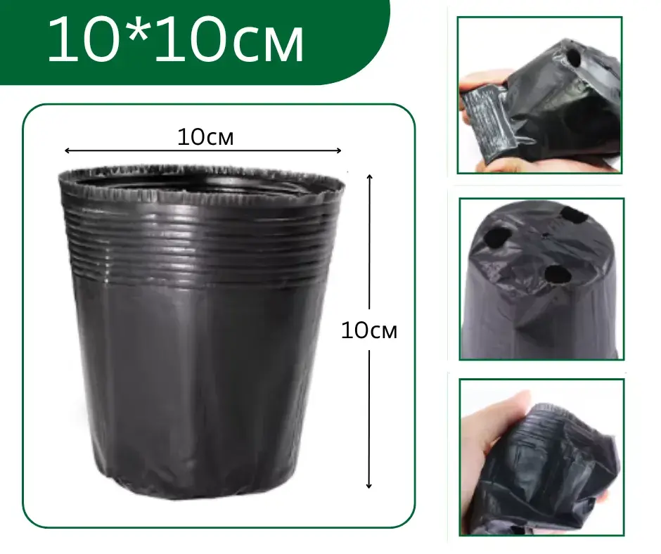 Бортого 10*10