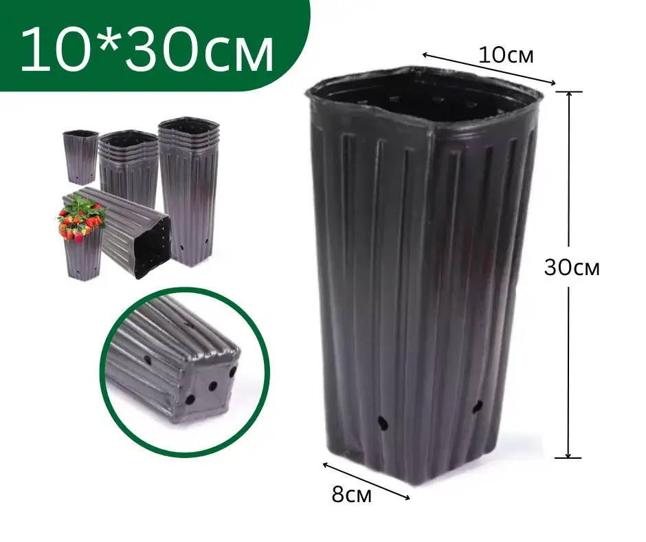 Бортого 10*30