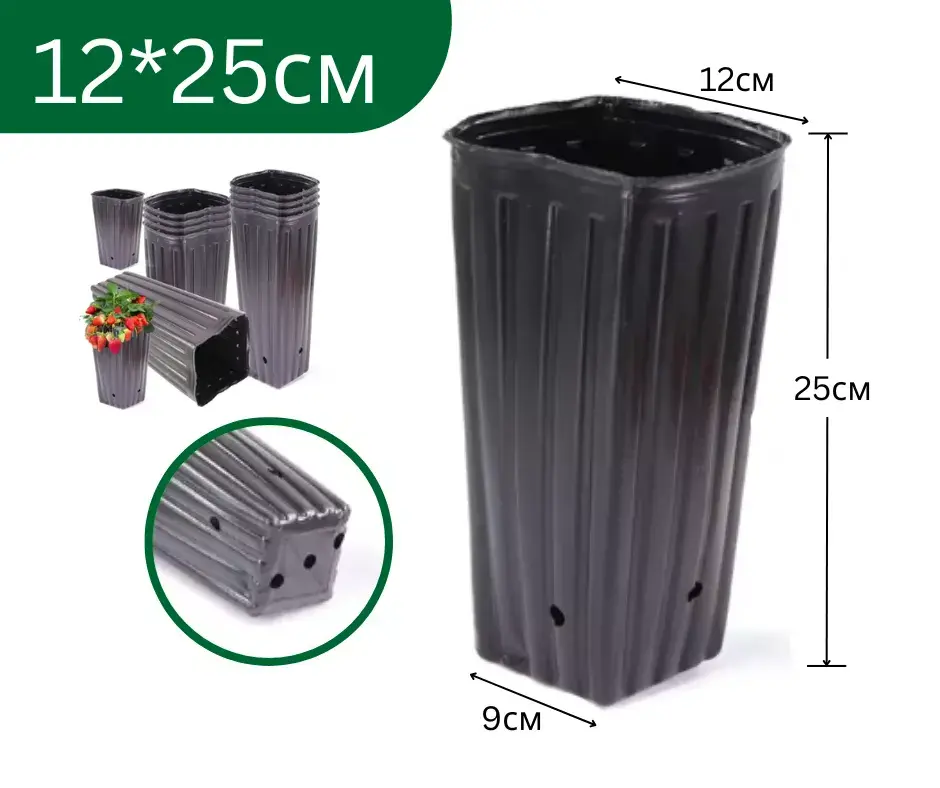 Бортого 12*25