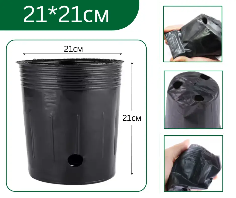 Бортого 21*21