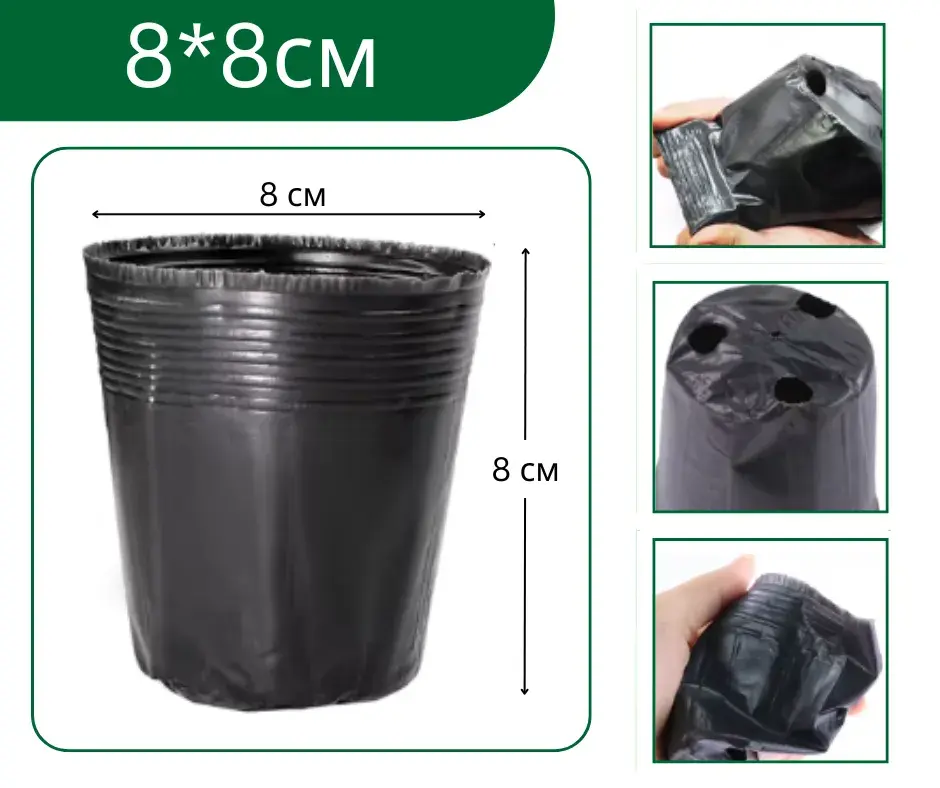 Бортого 8*8