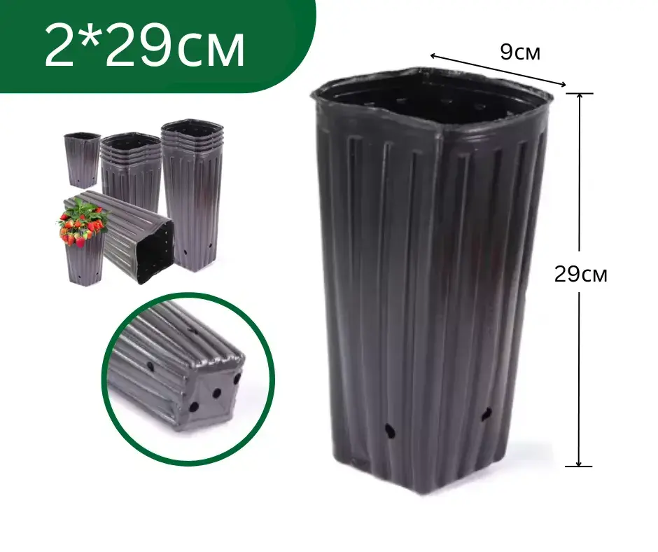 Бортого 9*29